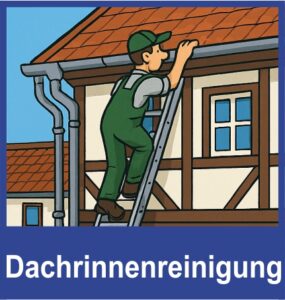 Dachrinnenreinigung